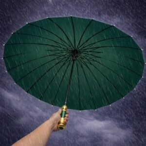 ২৪ সিক প্রিমিয়াম পাতা সবুজ ছাতা