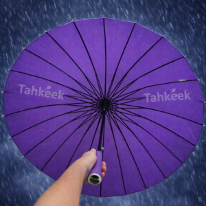 ২৪ সিক প্রিমিয়াম বেগুনি ছাতা